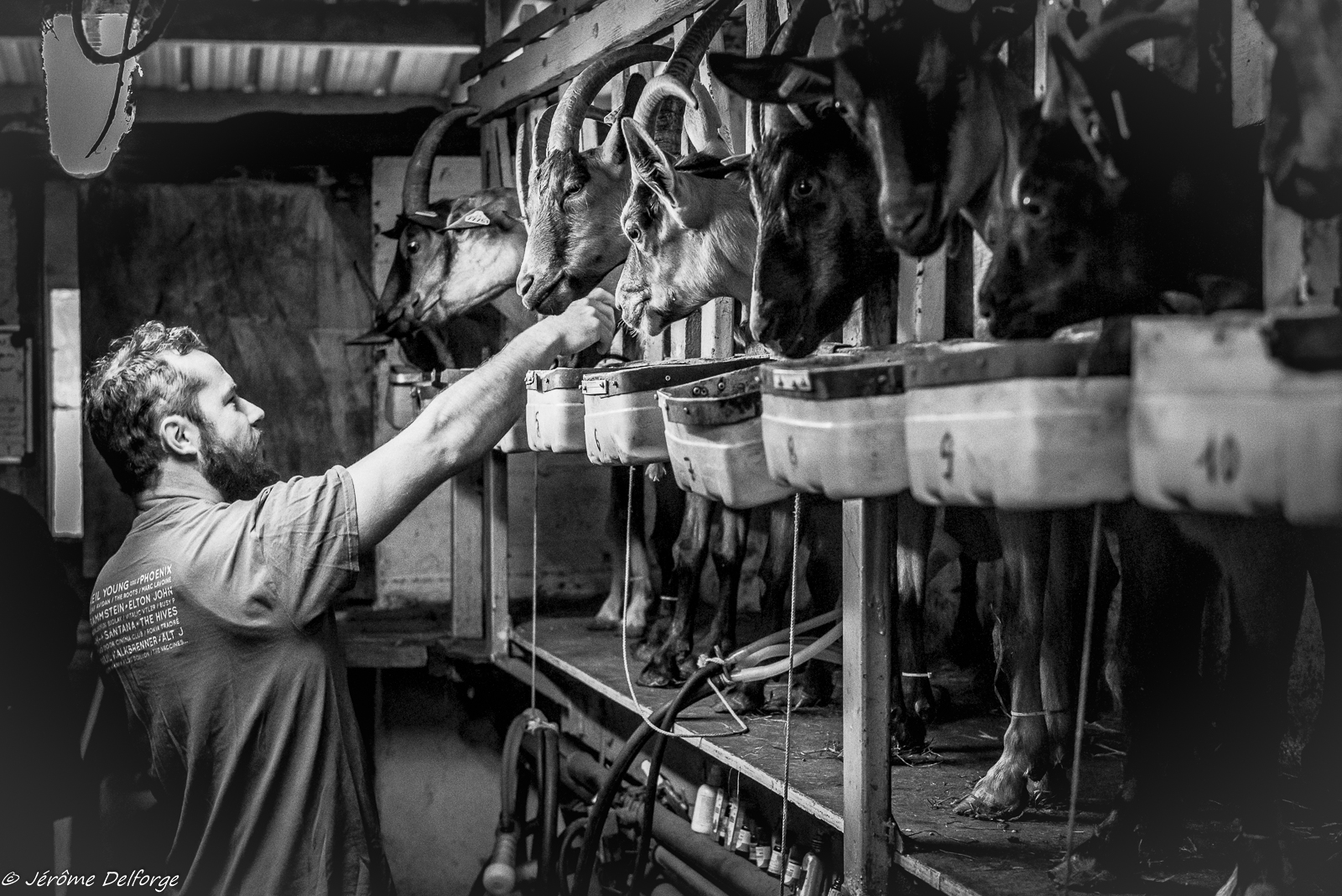 Ferme de Trénéhué