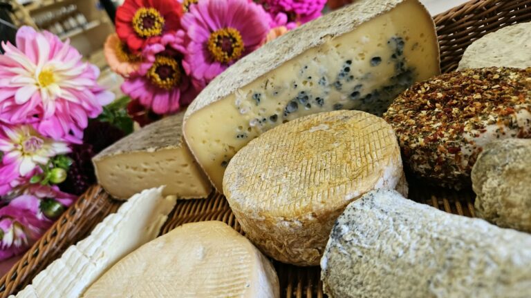Fromages et produits laitiers
