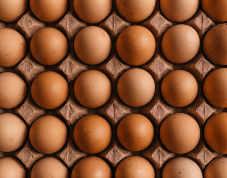 Oeufs